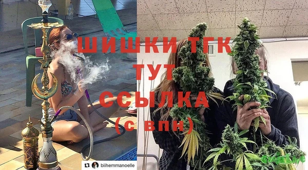ешки Абинск