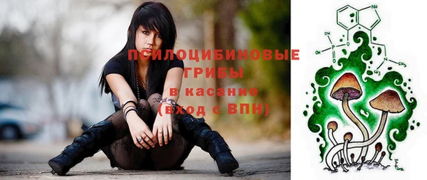 метамфетамин Алексеевка