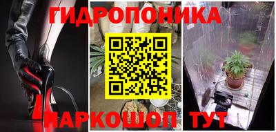 ECSTASY Лесосибирск