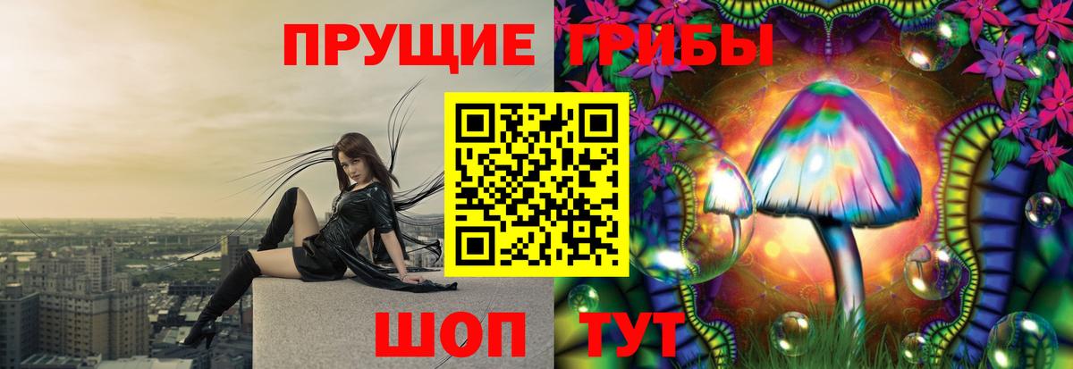 Галлюциногенные грибы Magic Shrooms Избербаш